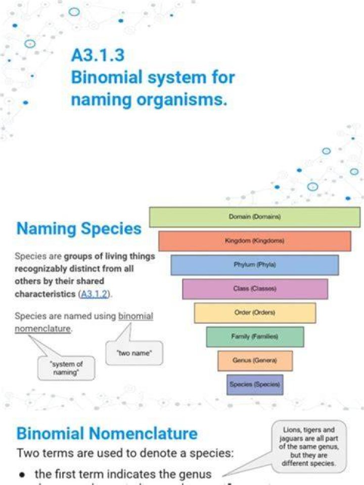 The Complete Guide To Understanding And Using The Binomial System ...